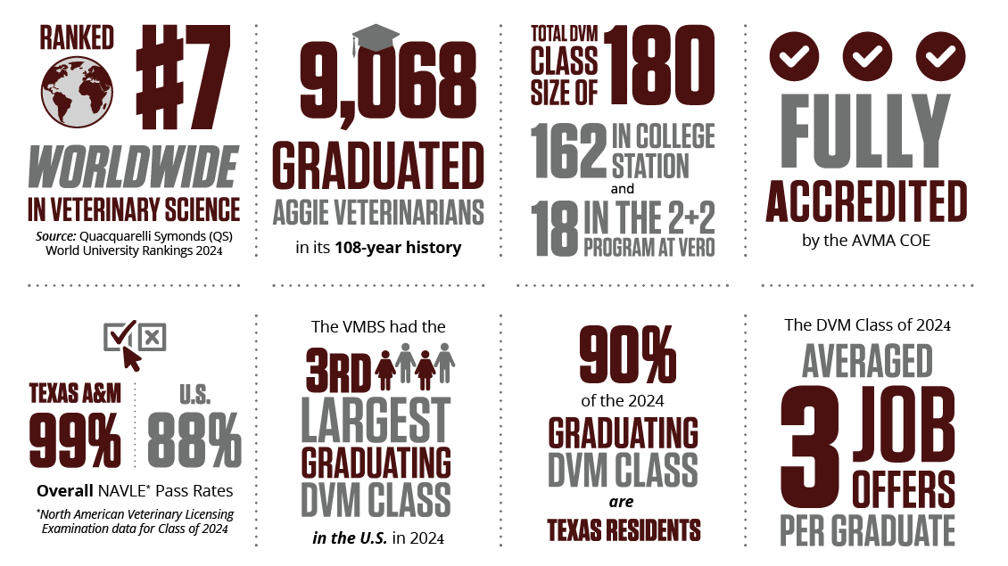 DVMStatsFY24 An infographic detailing statistics about the Doctor of Veterinary Medicine Program at Texas A&M as reported in the FY24 Annual Report for the VMBS