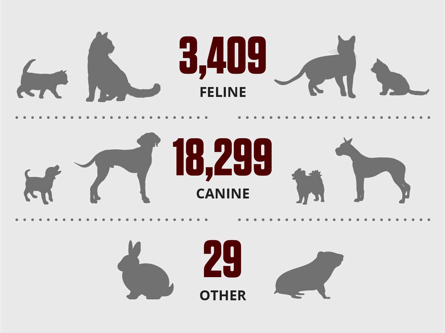 An infographic detailing the FY24 SATH Caseload by Species